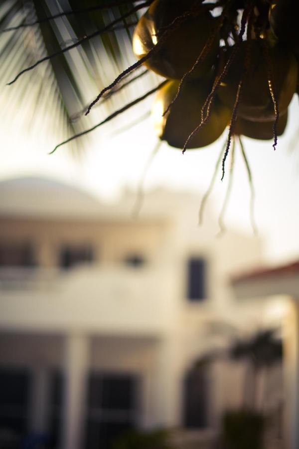 Villas Flamingo Akumal Zewnętrze zdjęcie